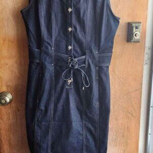 White House Black Market Jean Dress